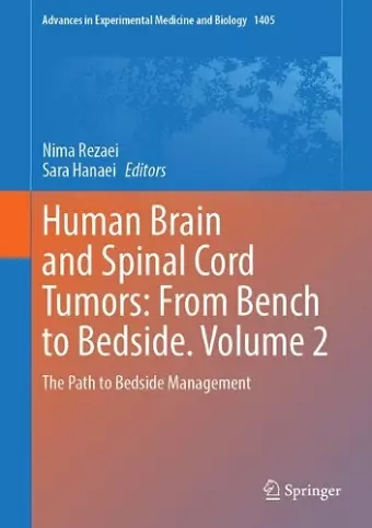 Human Brain and Spinal Cord Tumors: From Bench to Bedside. Volume 2 cover