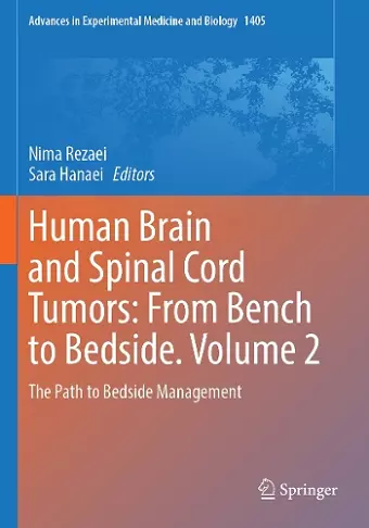 Human Brain and Spinal Cord Tumors: From Bench to Bedside. Volume 2 cover