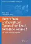 Human Brain and Spinal Cord Tumors: From Bench to Bedside. Volume 2 cover