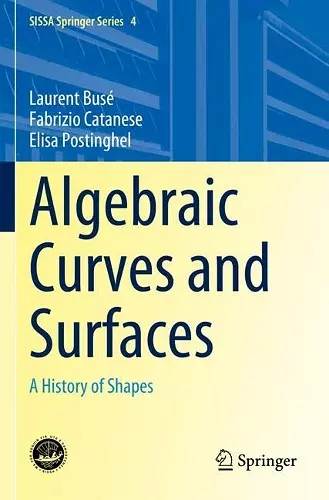 Algebraic Curves and Surfaces cover