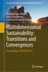 Multidimensional Sustainability: Transitions and Convergences cover