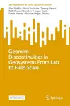GeomInt—Discontinuities in Geosystems From Lab to Field Scale cover