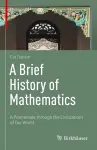 A Brief History of Mathematics cover