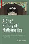 A Brief History of Mathematics cover