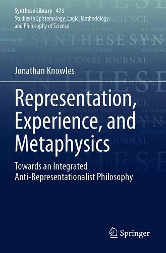 Representation, Experience, and Metaphysics cover