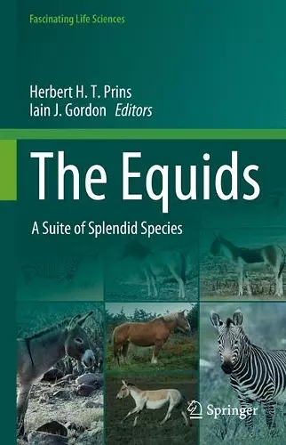 The Equids cover