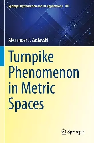 Turnpike Phenomenon in Metric Spaces cover