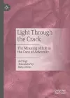 Light Through the Crack cover