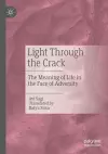 Light Through the Crack cover