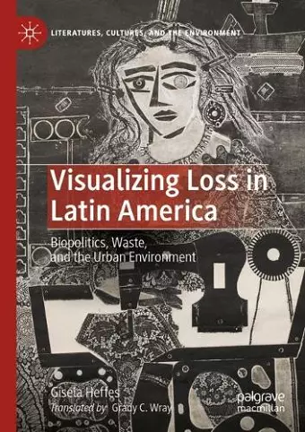 Visualizing Loss in Latin America cover