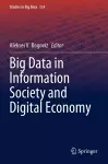 Big Data in Information Society and Digital Economy cover