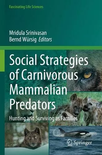 Social Strategies of Carnivorous Mammalian Predators cover
