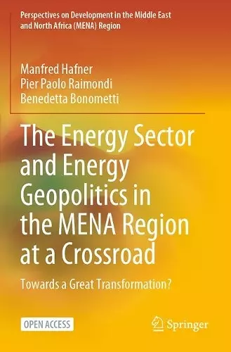 The Energy Sector and Energy Geopolitics in the MENA Region at a Crossroad cover