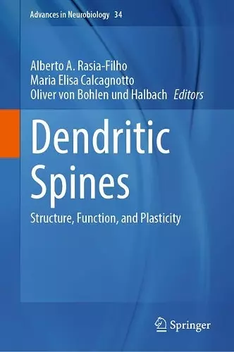 Dendritic Spines cover