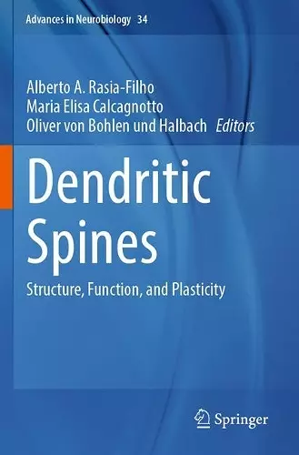 Dendritic Spines cover