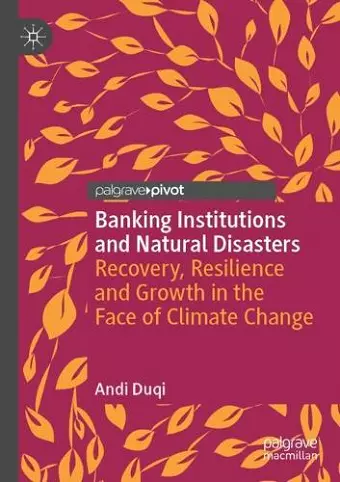 Banking Institutions and Natural Disasters cover