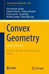 Convex Geometry cover