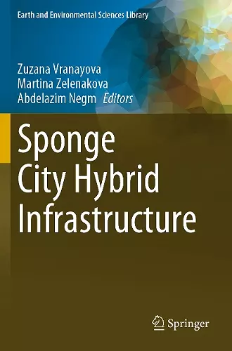 Sponge City Hybrid Infrastructure cover