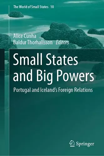 Small States and Big Powers cover
