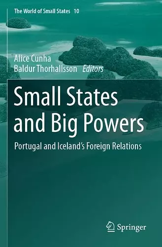 Small States and Big Powers cover