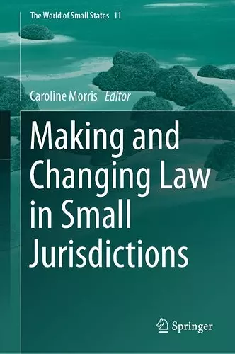 Making and Changing Law in Small Jurisdictions cover