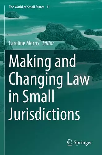 Making and Changing Law in Small Jurisdictions cover