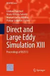 Direct and Large Eddy Simulation XIII cover