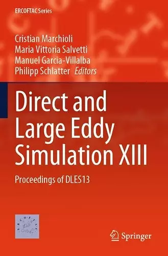 Direct and Large Eddy Simulation XIII cover