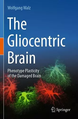 The Gliocentric Brain cover