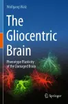 The Gliocentric Brain cover