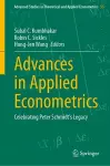 Advances in Applied Econometrics cover