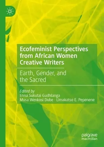 Ecofeminist Perspectives from African Women Creative Writers cover