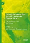 Ecofeminist Perspectives from African Women Creative Writers cover