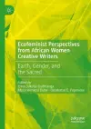 Ecofeminist Perspectives from African Women Creative Writers cover