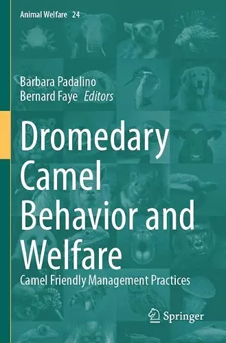 Dromedary Camel Behavior and Welfare cover
