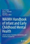 WAIMH Handbook of Infant and Early Childhood Mental Health cover