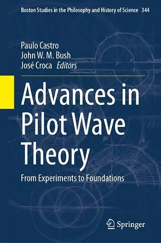 Advances in Pilot Wave Theory cover