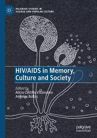HIV/AIDS in Memory, Culture and Society cover