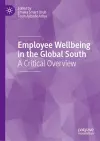 Employee Wellbeing in the Global South cover
