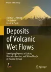 Deposits of Volcanic Wet Flows cover
