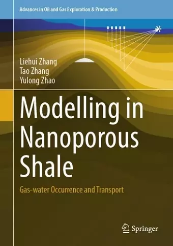 Modelling in Nanoporous Shale cover