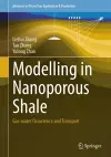 Modelling in Nanoporous Shale cover
