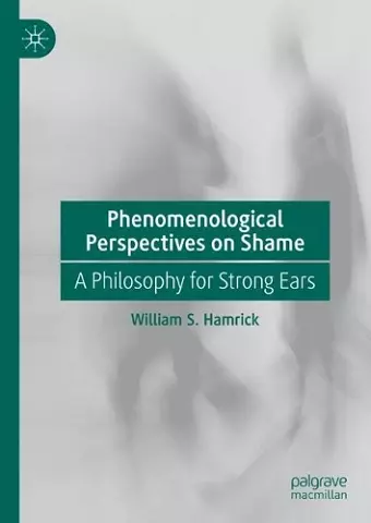 Phenomenological Perspectives on Shame cover