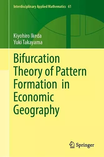 Bifurcation Theory of Pattern Formation  in Economic Geography cover