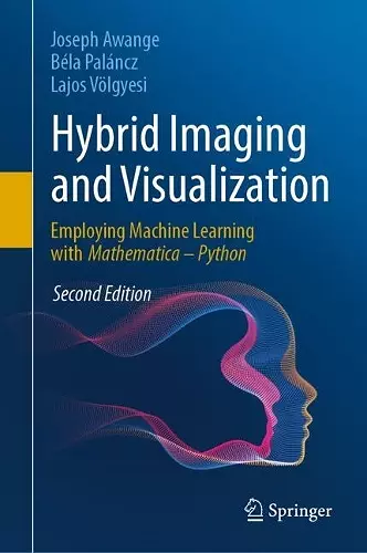 Hybrid Imaging and Visualization cover