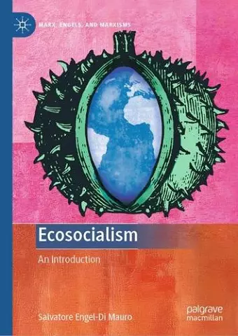 Ecosocialism cover