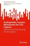 Hydrophobic Ceramic Membranes for CO2 Capture cover
