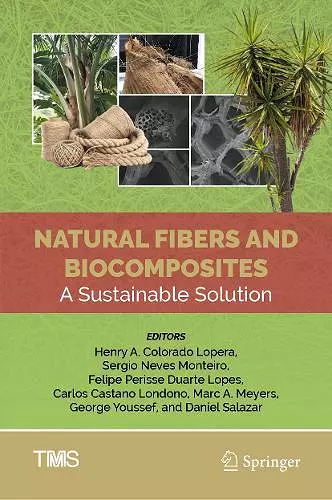 Natural Fibers and Biocomposites cover