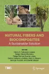 Natural Fibers and Biocomposites cover