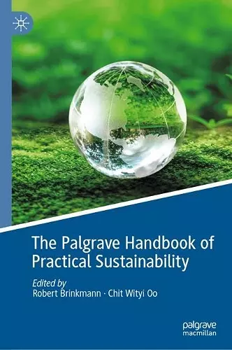 The Palgrave Handbook of Practical Sustainability cover